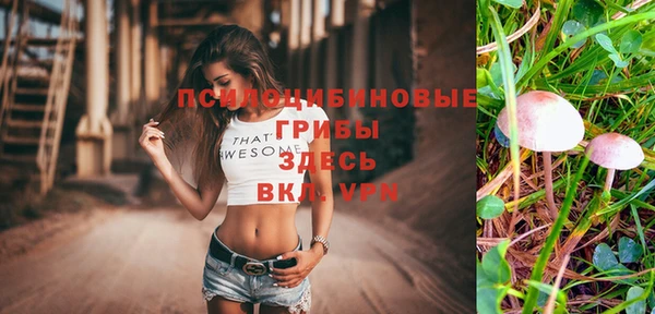 ECSTASY Алексеевка